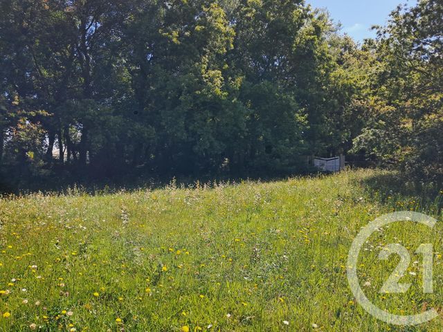 terrain - TALMONT ST HILAIRE - 85