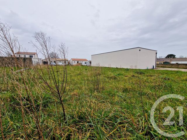 terrain à vendre - 435.0 m2 - GROSBREUIL - 85 - PAYS-DE-LOIRE - Century 21 Eole Immobilier