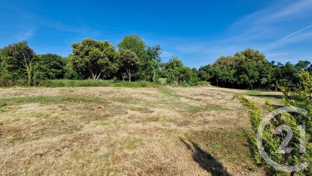 terrain - TALMONT ST HILAIRE - 85