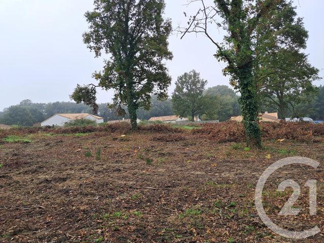 terrain à vendre - 585.0 m2 - POIROUX - 85 - PAYS-DE-LOIRE - Century 21 Eole Immobilier