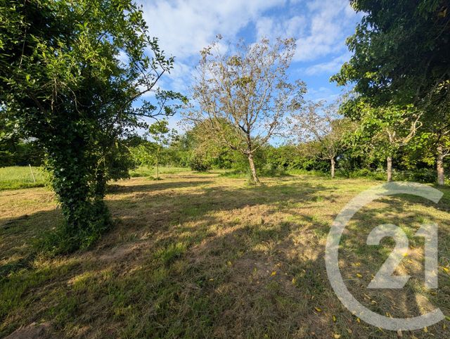 maison à vendre - 7 pièces - 213.42 m2 - NIEUL LE DOLENT - 85 - PAYS-DE-LOIRE - Century 21 Eole Immobilier