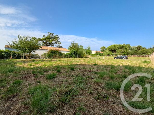 terrain à vendre - 436.0 m2 - TALMONT ST HILAIRE - 85 - PAYS-DE-LOIRE - Century 21 Eole Immobilier