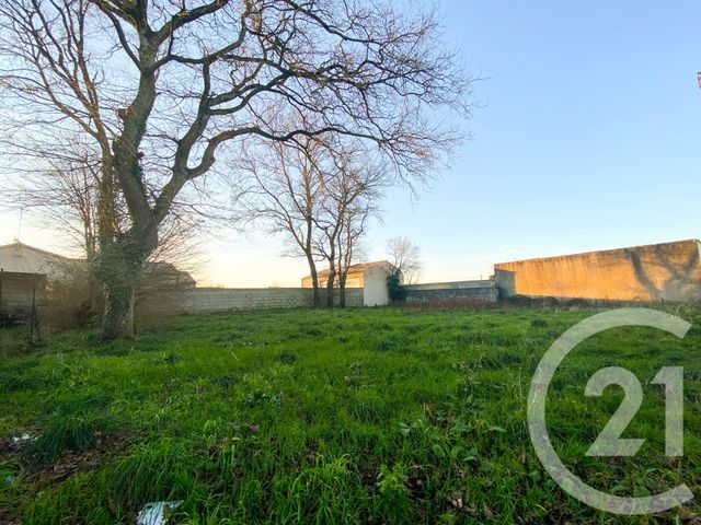maison à vendre - 4 pièces - 79.73 m2 - GROSBREUIL - 85 - PAYS-DE-LOIRE - Century 21 Eole Immobilier
